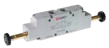 AIGNEP