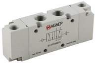 AIGNEP