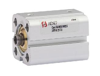 Пневмоцилиндры двустороннего действия